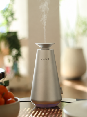 AURO A700 · Home & Car Cone Diffuser (2)