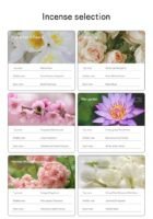 Fragrance Oil Discovery Set · 6 × 10 mL