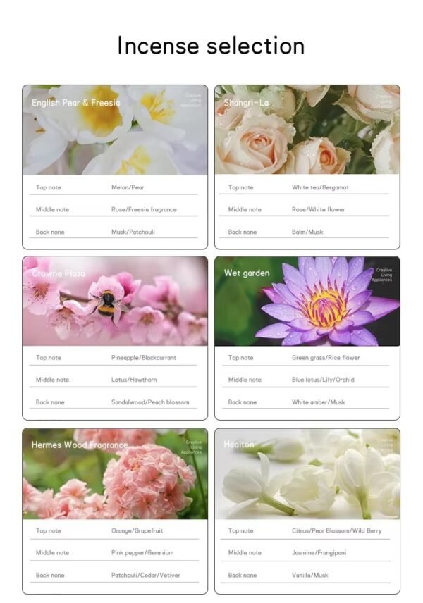 Fragrance Oil Discovery Set · 6 × 10 mL