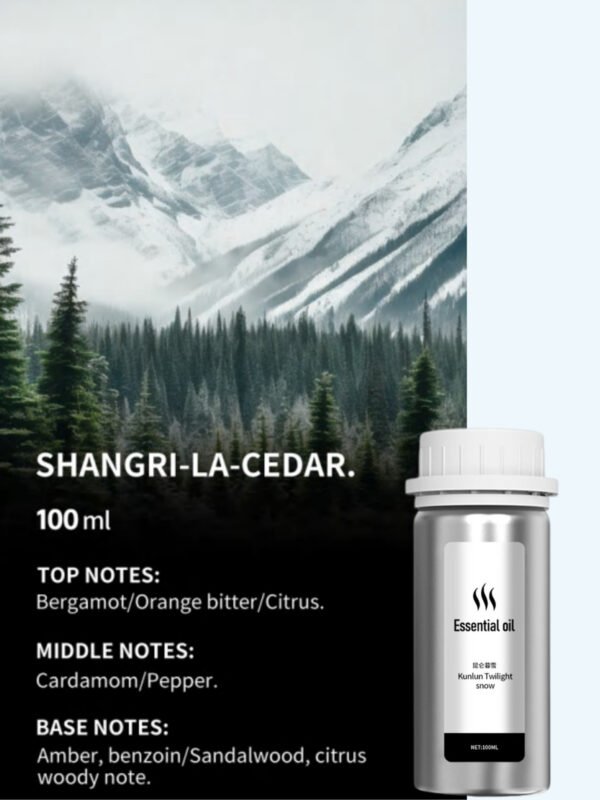 Shangri-La Cedar · Wood & Amber · 100 mL